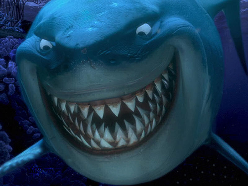 Bruce the Great White shark, Marlin and Dory, from 'Finding Nemo.' Click to enlarge.
